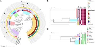 Population analysis of heavy metal and biocide resistance genes in Salmonella enterica from human clinical cases in New Hampshire, United States